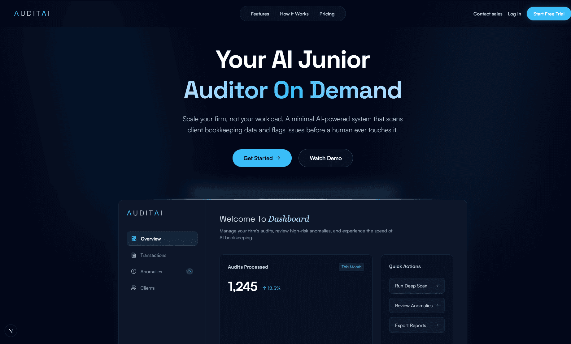 AuditAI
